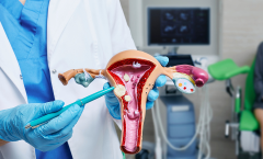  Gynaecology
